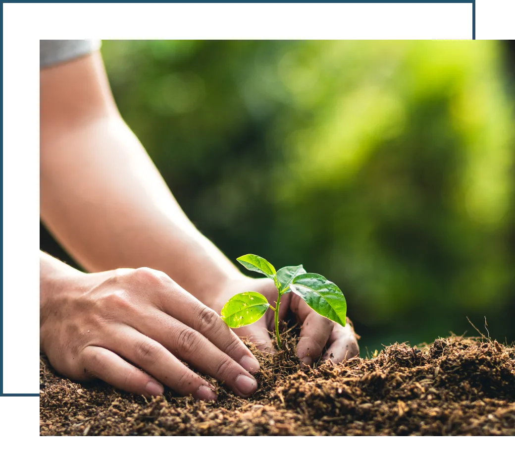 Agriculture and Fertilizer Industry